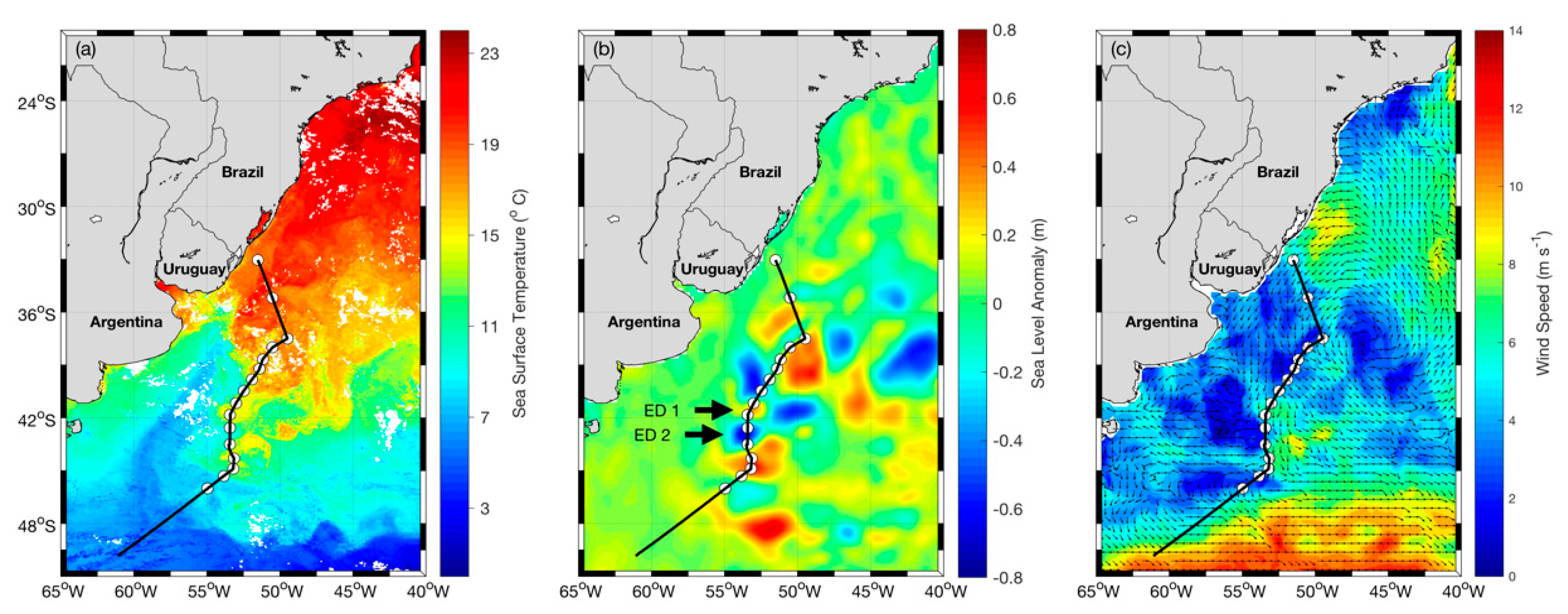 Remotesensing 13 01335 g001