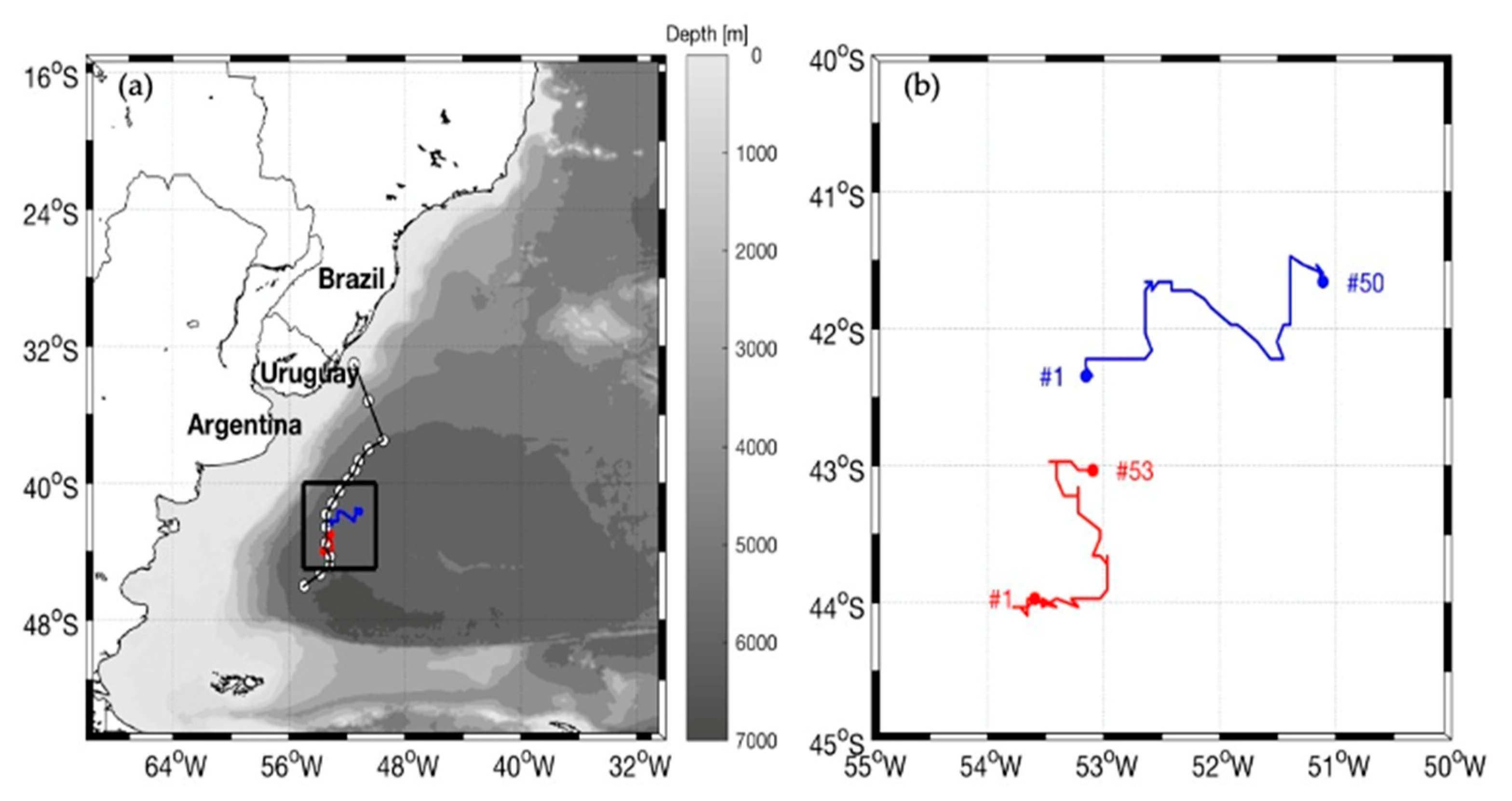 Remotesensing 13 01335 g003