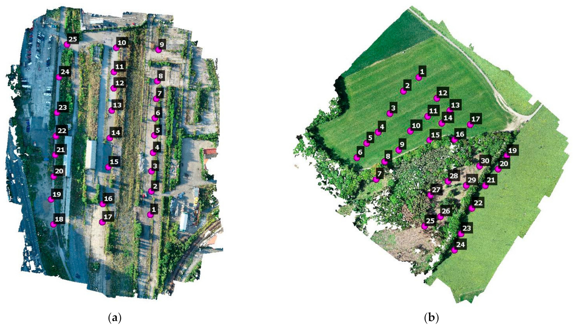 Remotesensing 13 01336 g006 Remotesensing 13 01336 g006