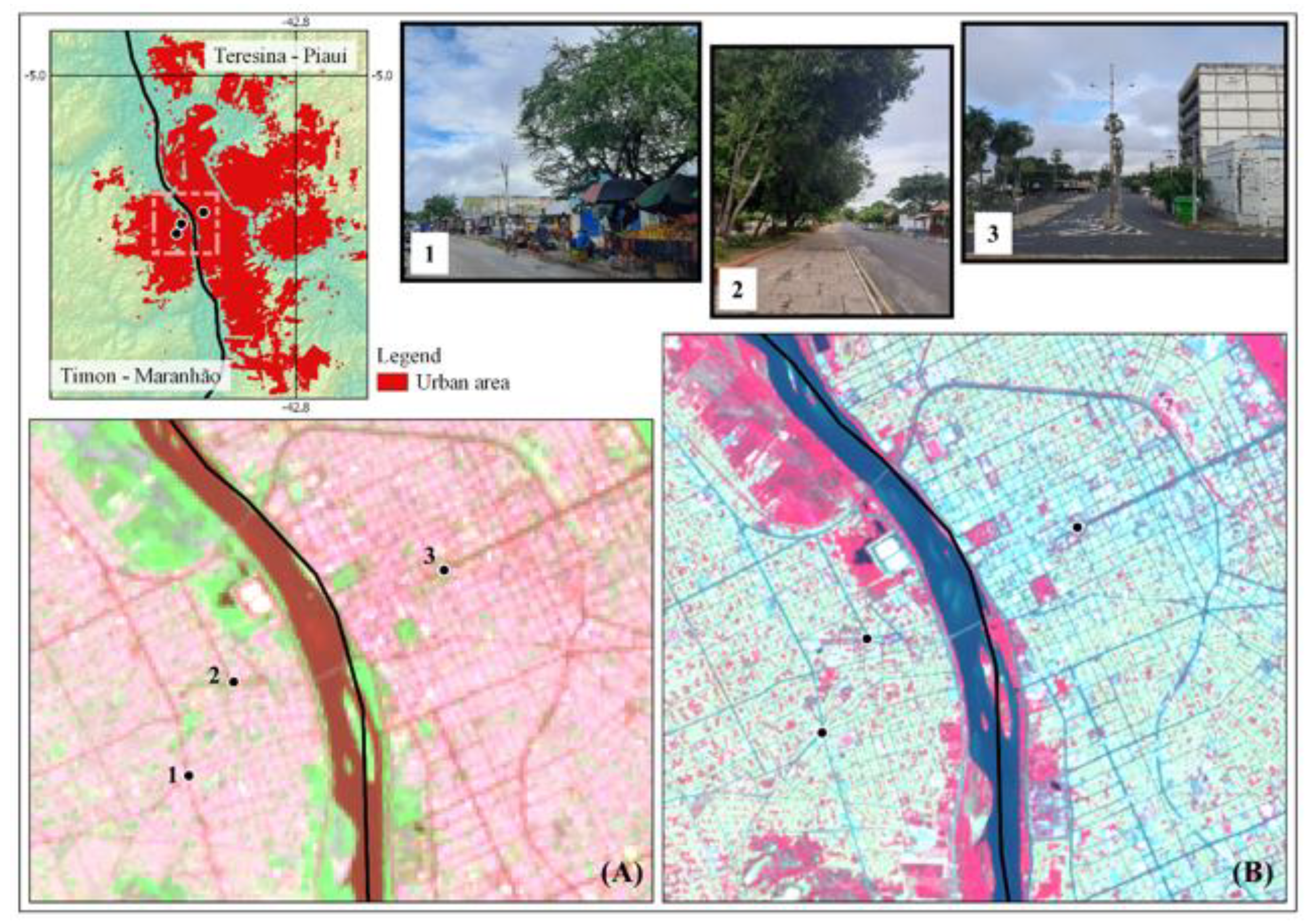 Remotesensing 13 01338 g002