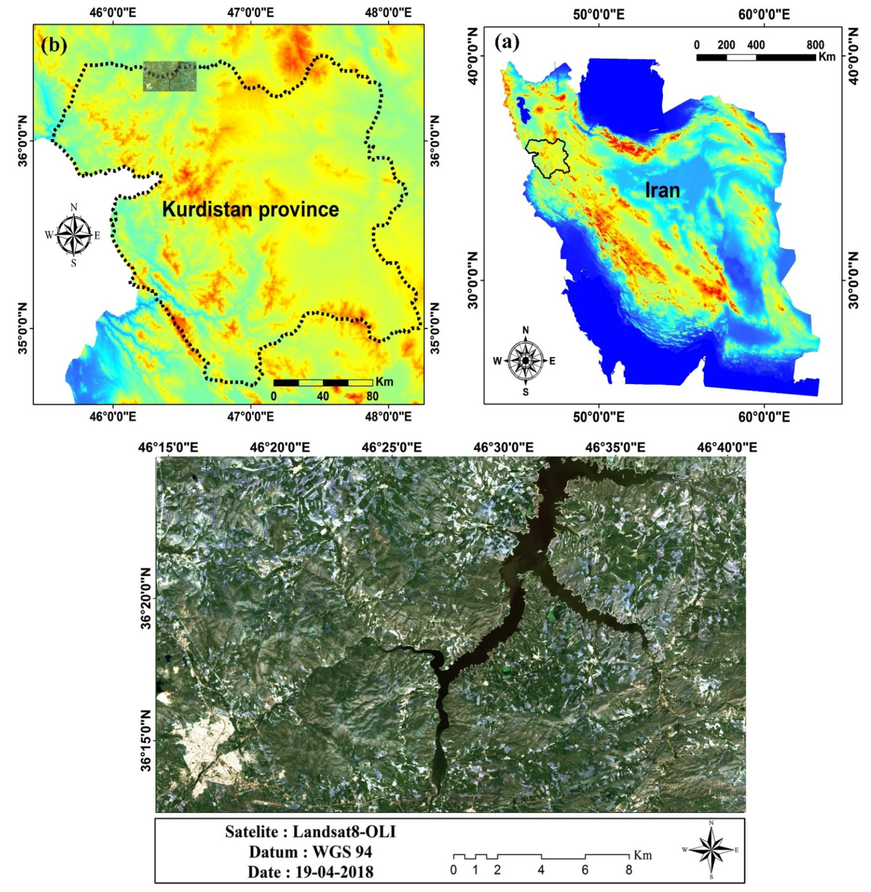 Remotesensing 13 01349 g001