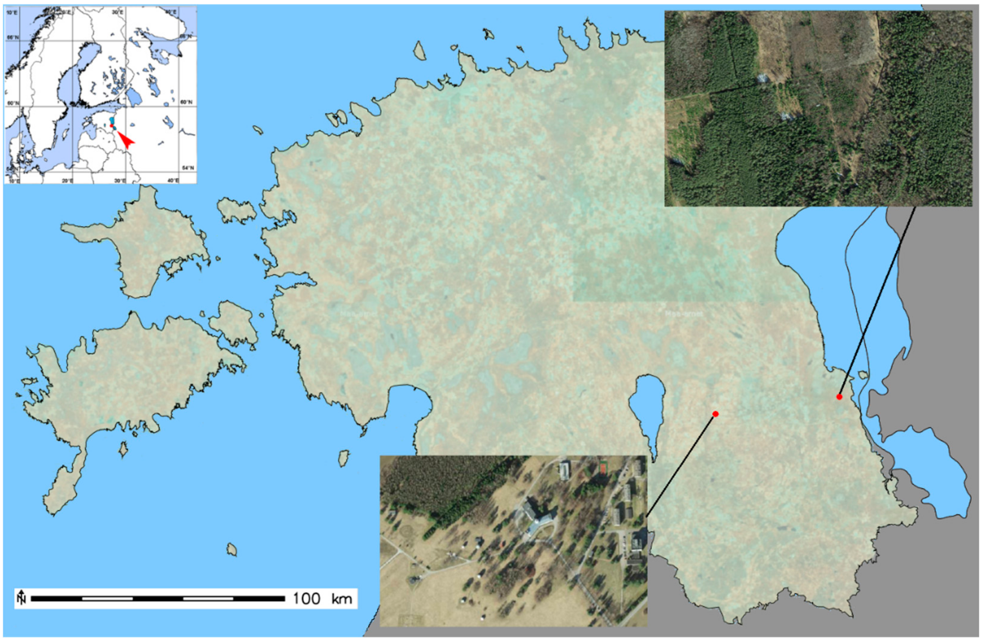 Remotesensing 13 01353 g002