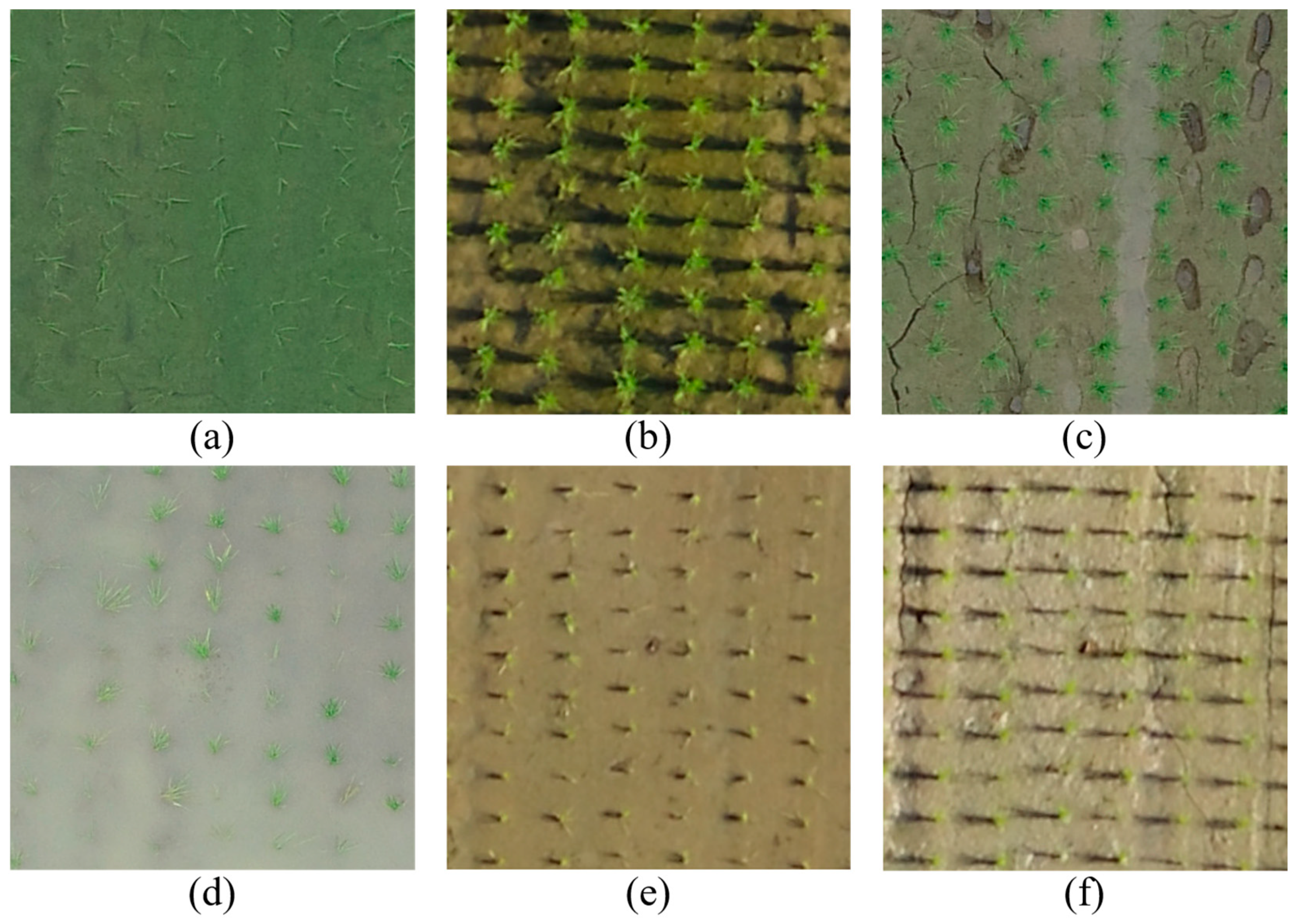 Remotesensing 13 01358 g003