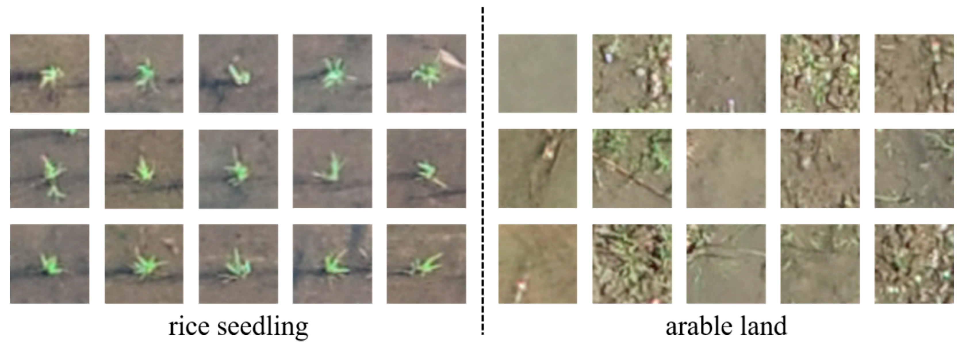 Remotesensing 13 01358 g005