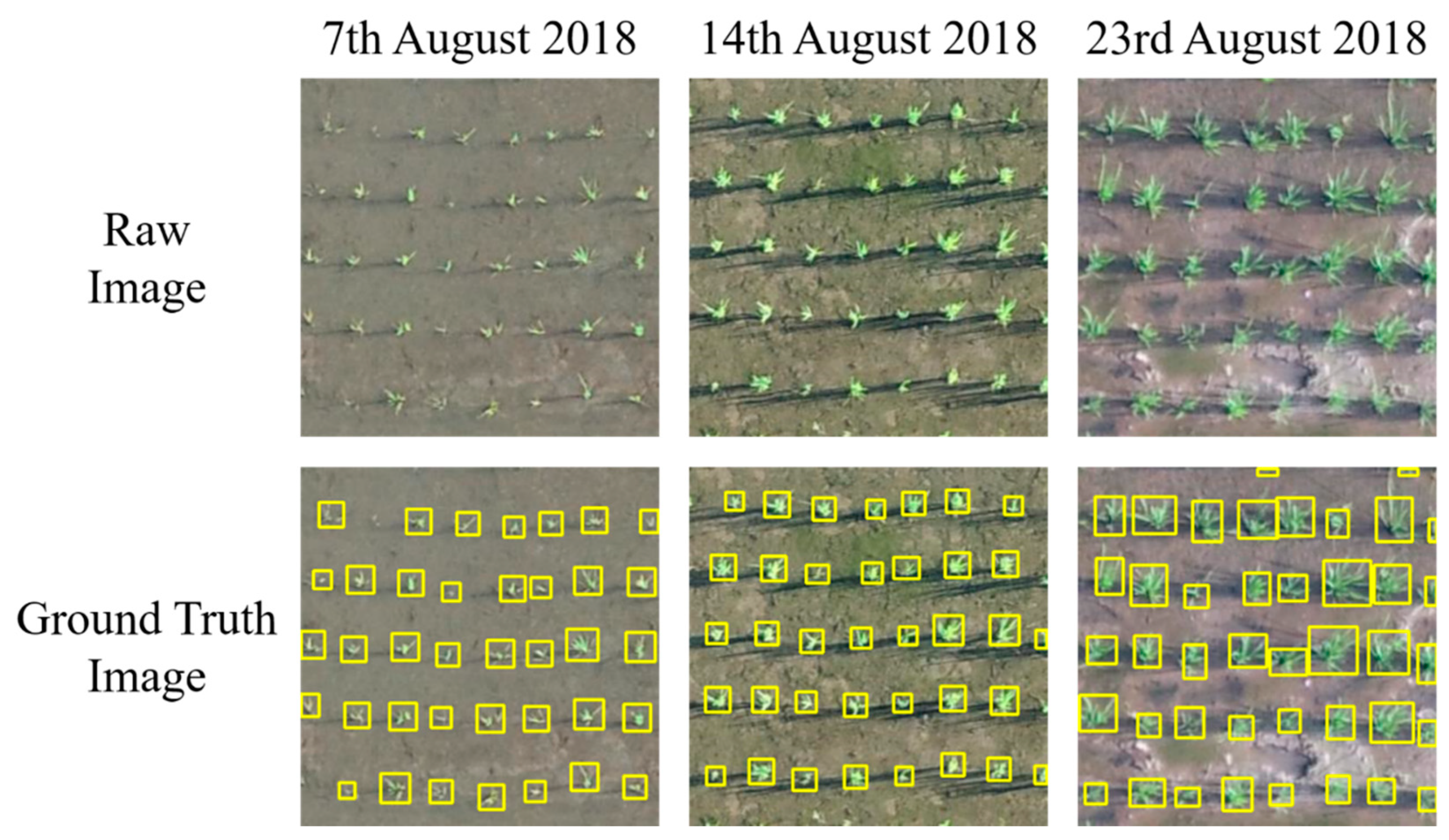 Remotesensing 13 01358 g006