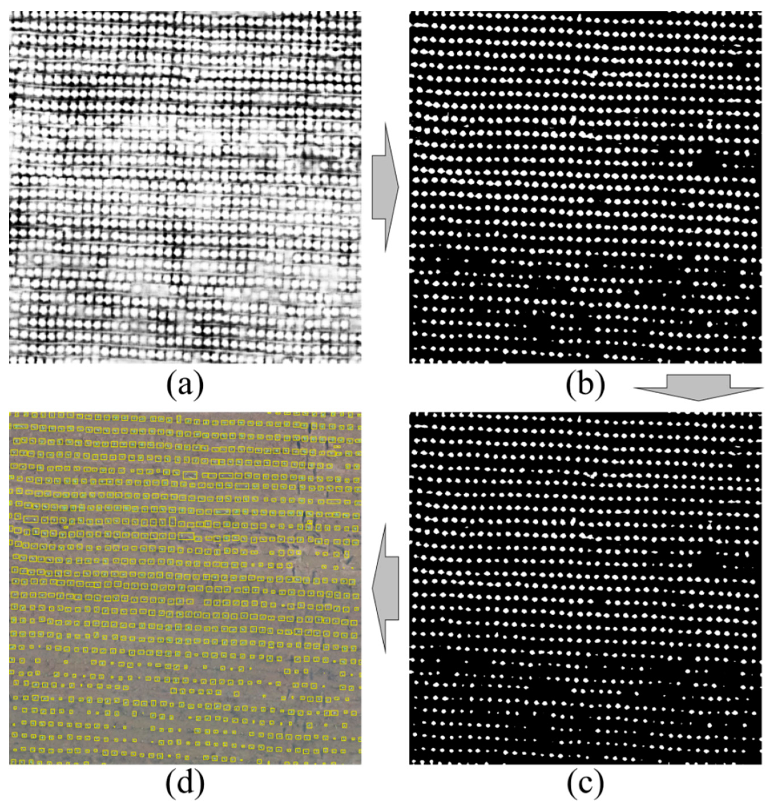 Remotesensing 13 01358 g010
