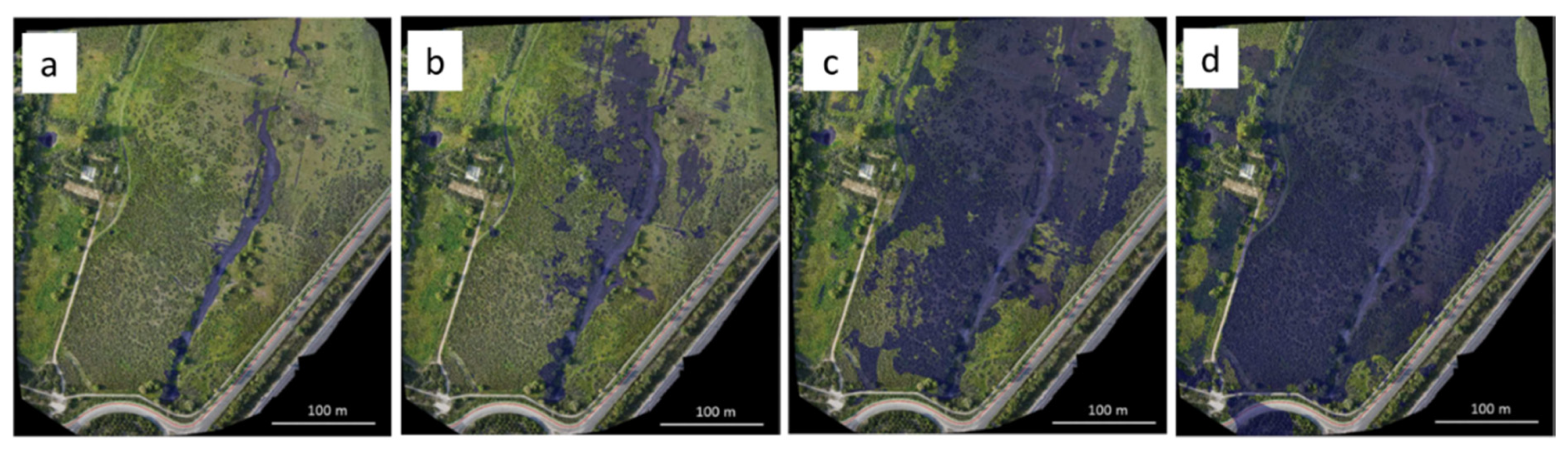 Remotesensing 13 01359 g004