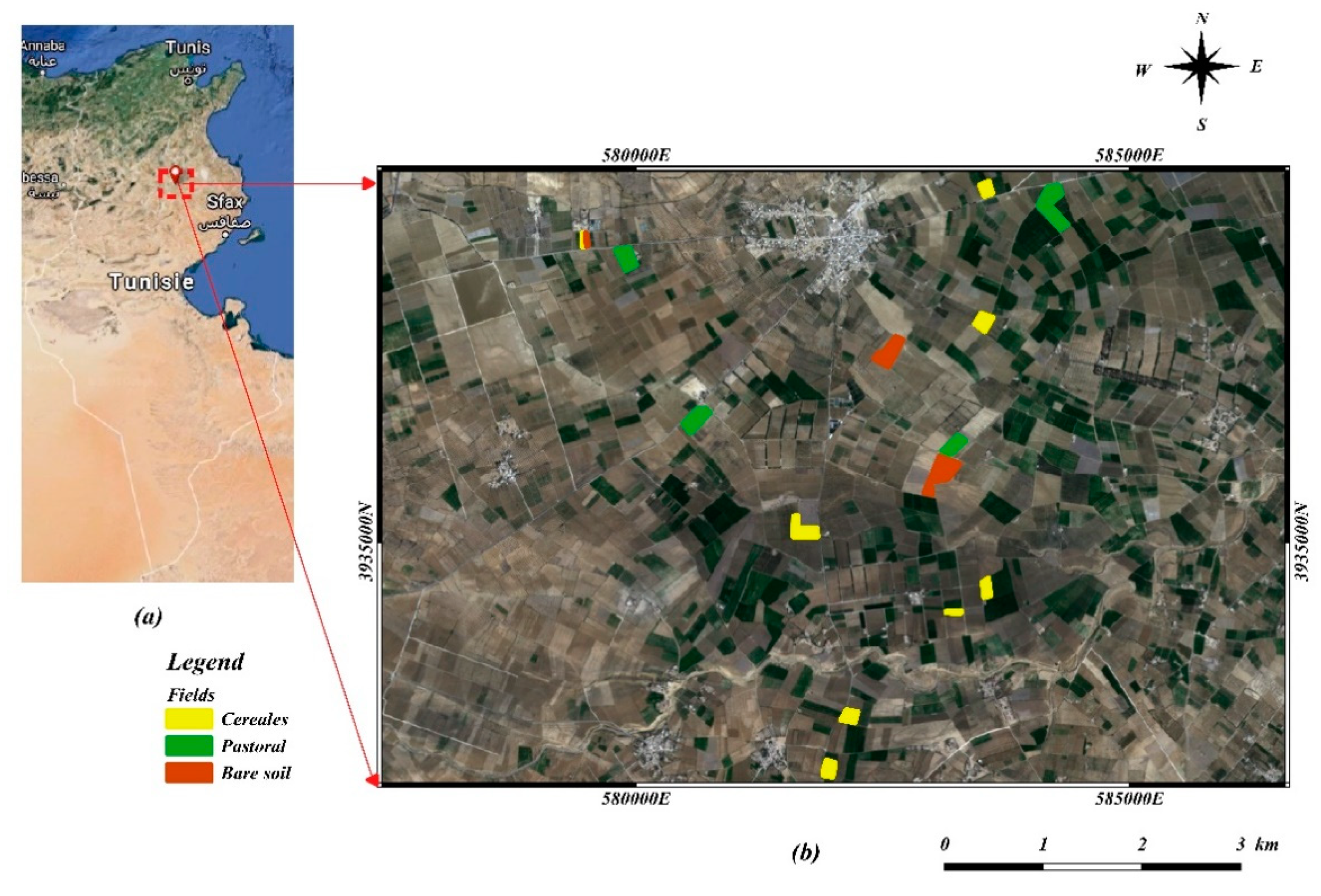 Remotesensing 13 01393 g001