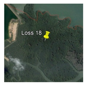 Remotesensing 13 01427 i005