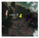 Remotesensing 13 01427 i006