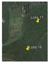 Remotesensing 13 01427 i017