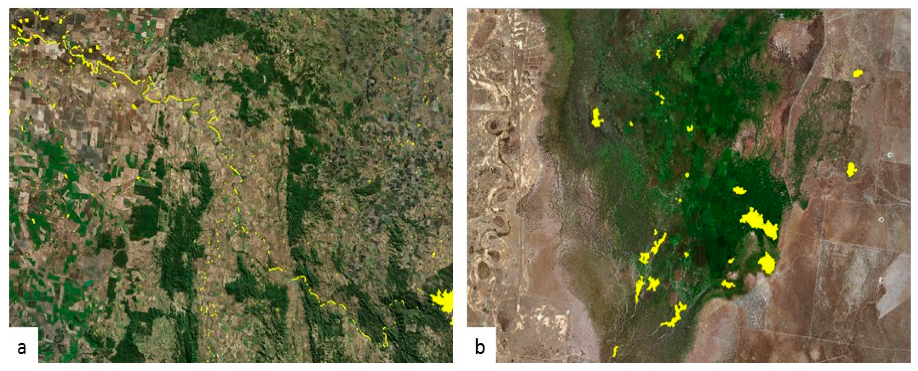 Remotesensing 13 01437 g011