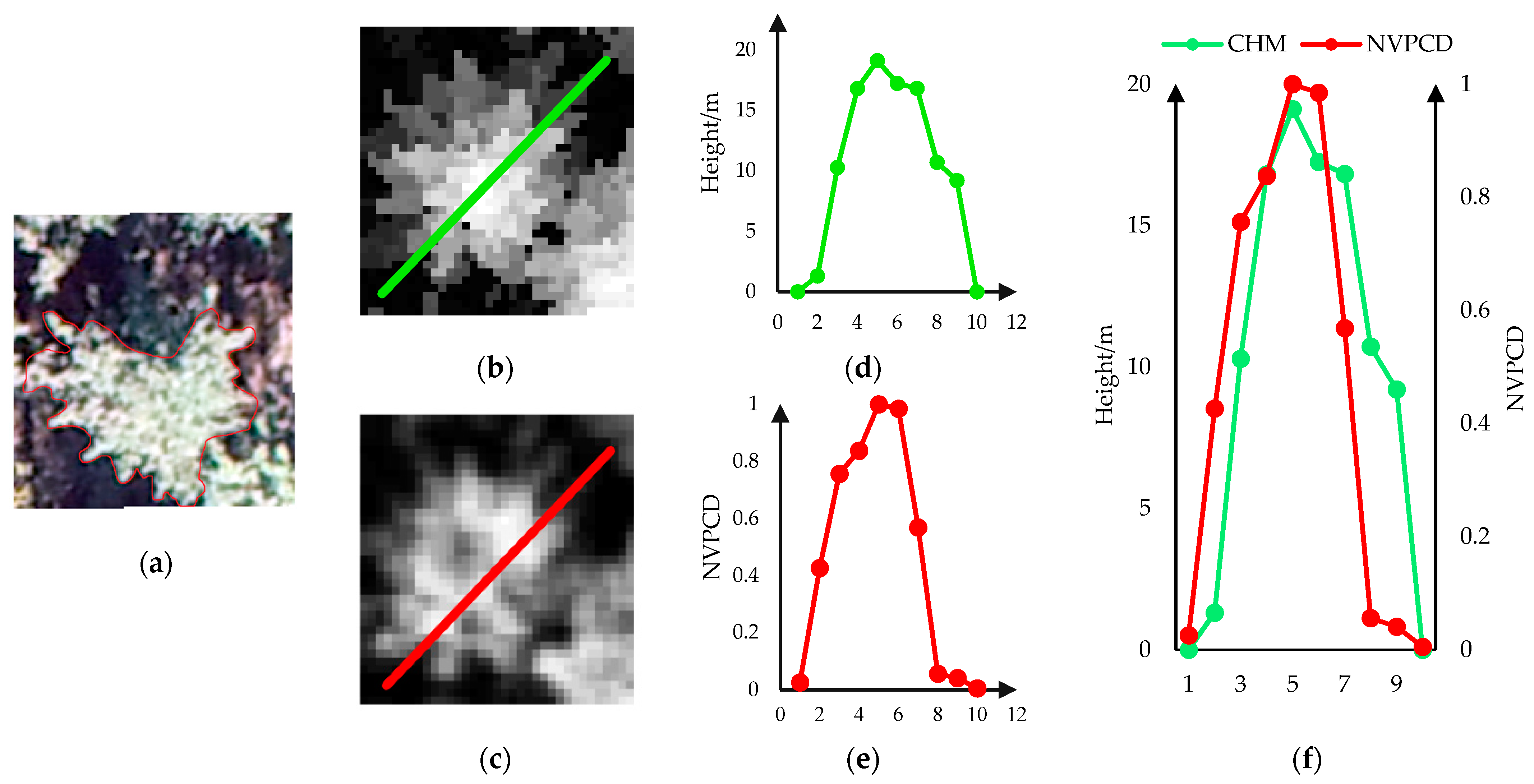 Remotesensing 13 01442 g008