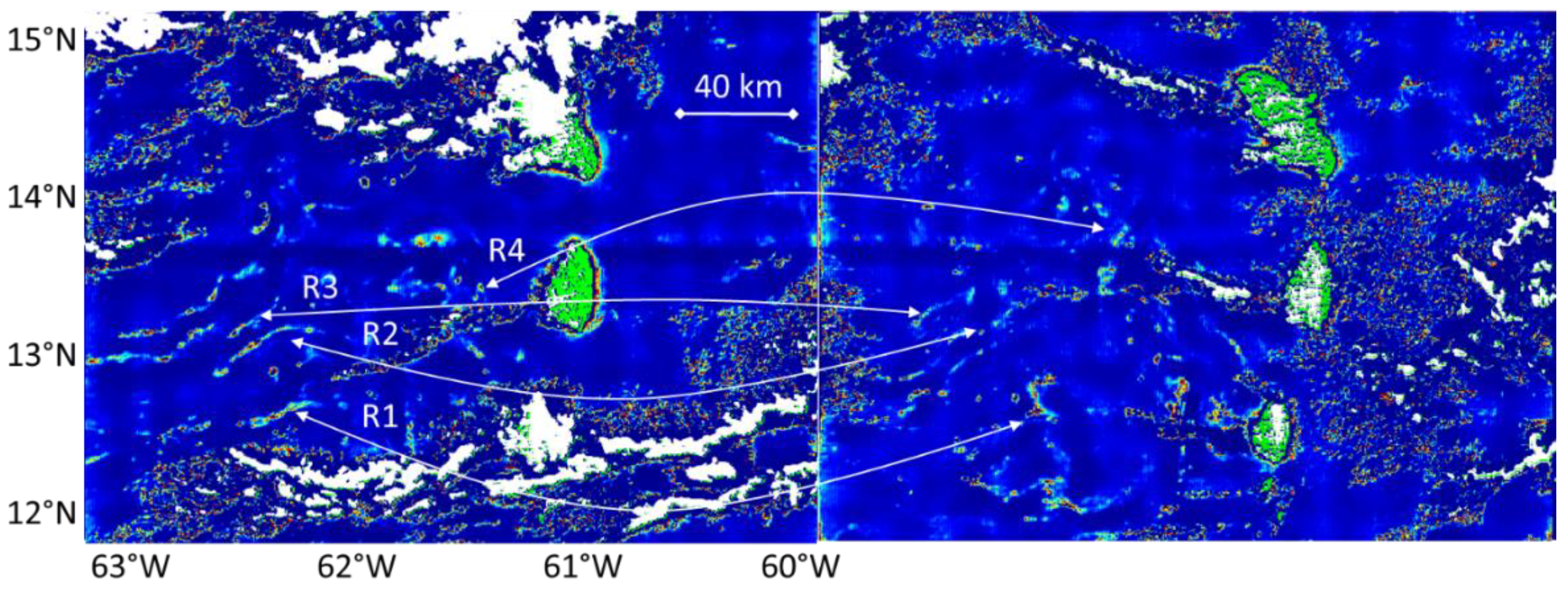 Remotesensing 13 01444 g010