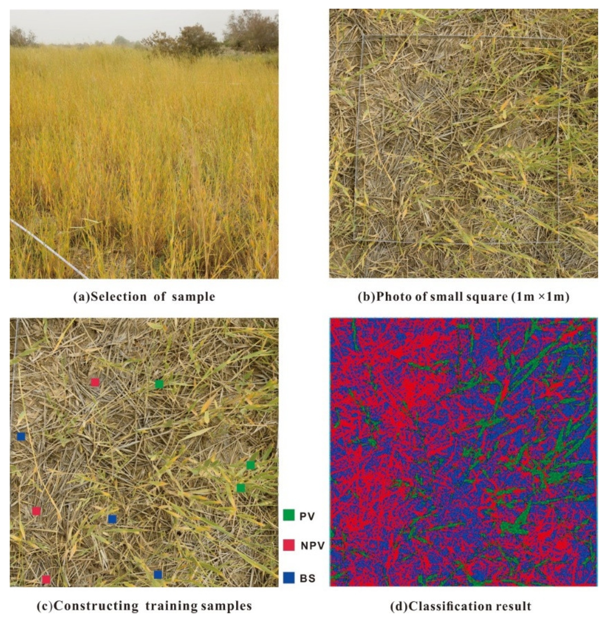 Remotesensing 13 01458 g002