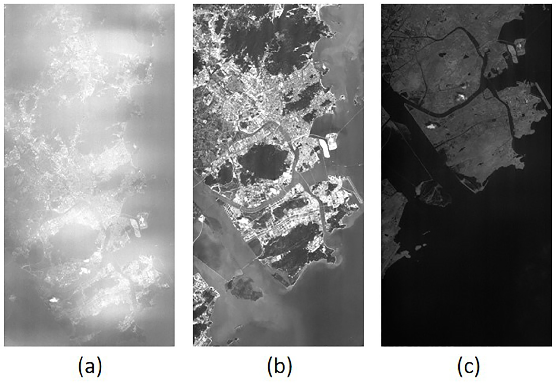 Remotesensing 13 01491 g001