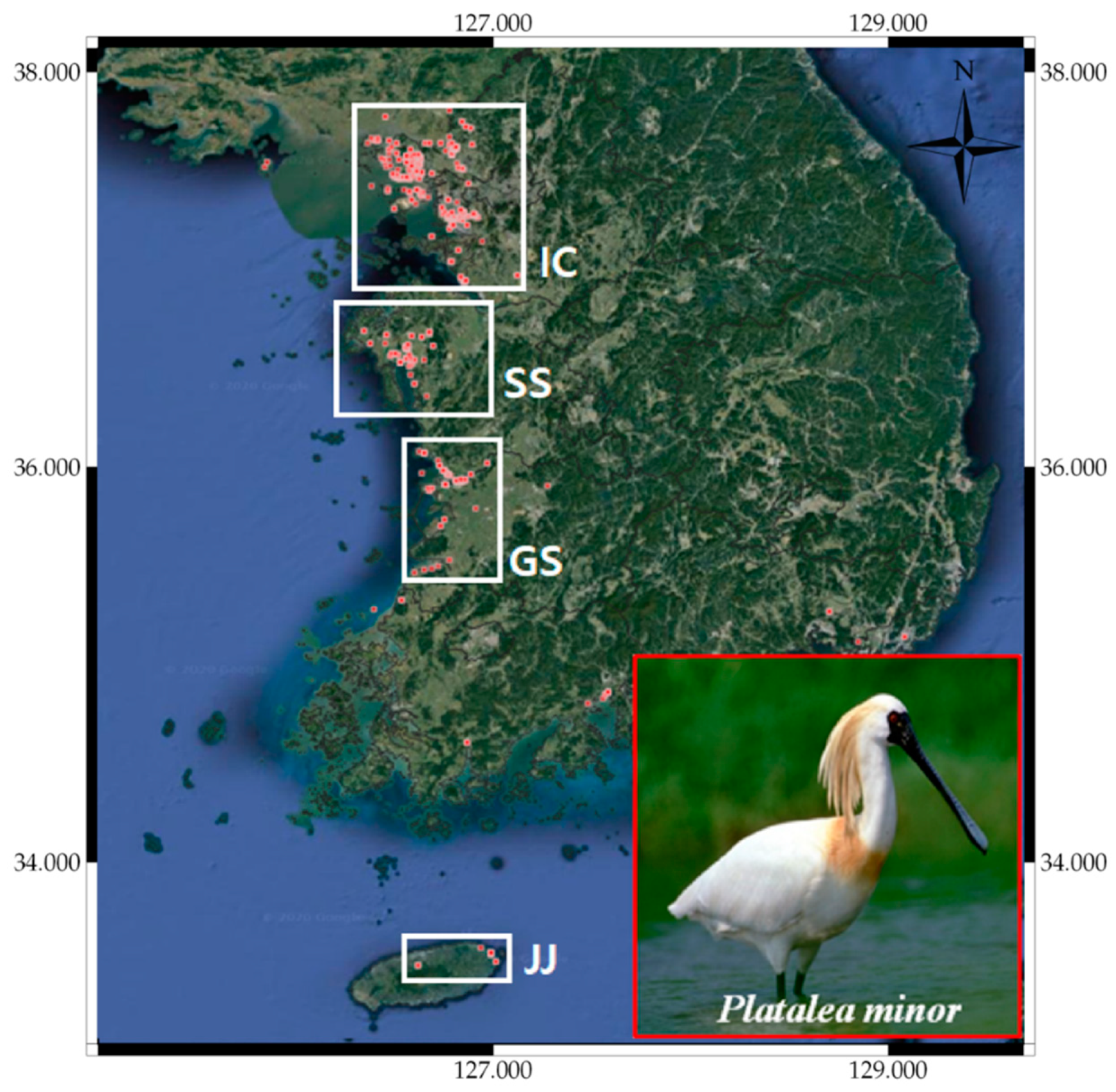 Remotesensing 13 01495 g008