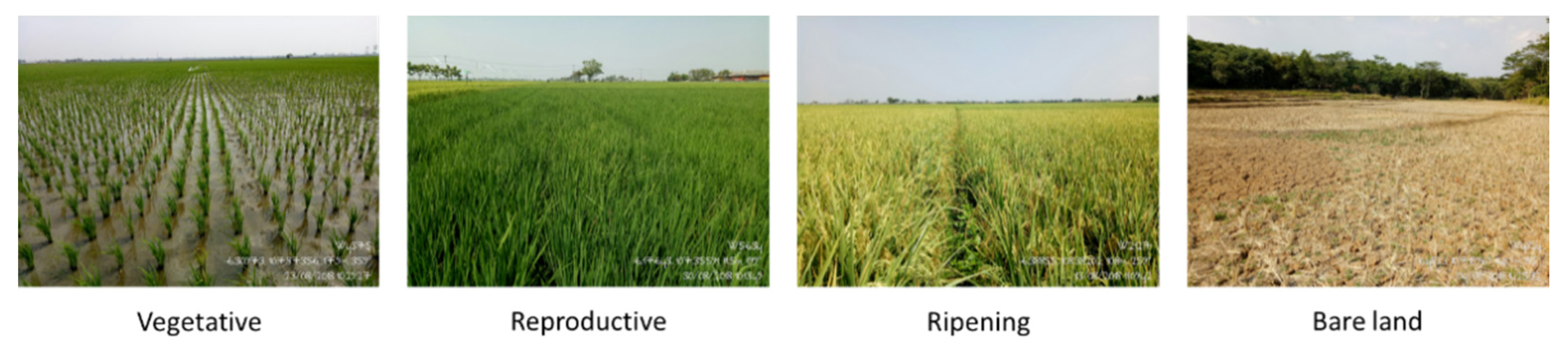 Remotesensing 13 01498 g005 Remotesensing 13 01498 g005