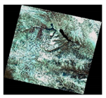 Remotesensing 13 01506 i011