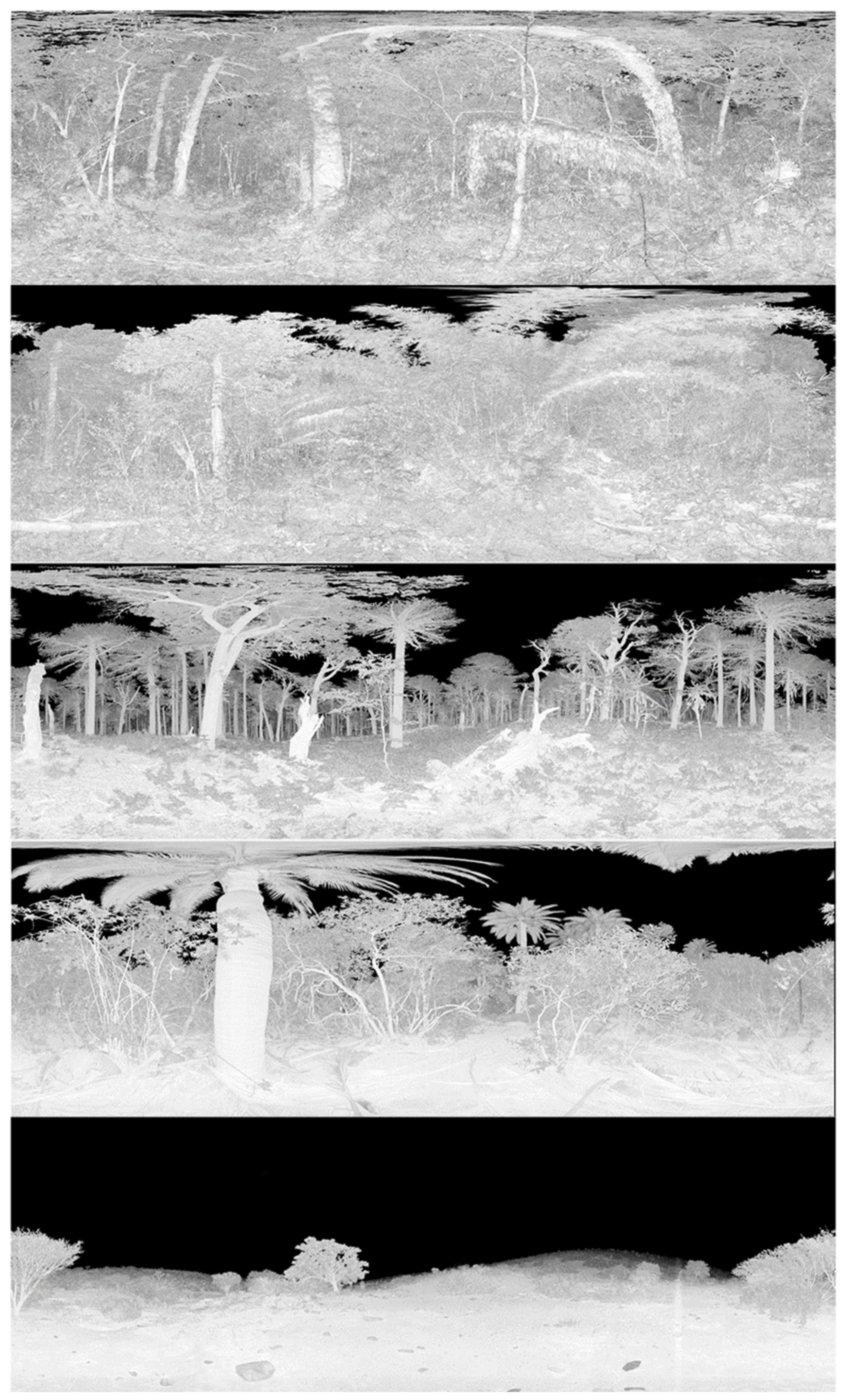 Remotesensing 13 01513 g003 Remotesensing 13 01513 g003