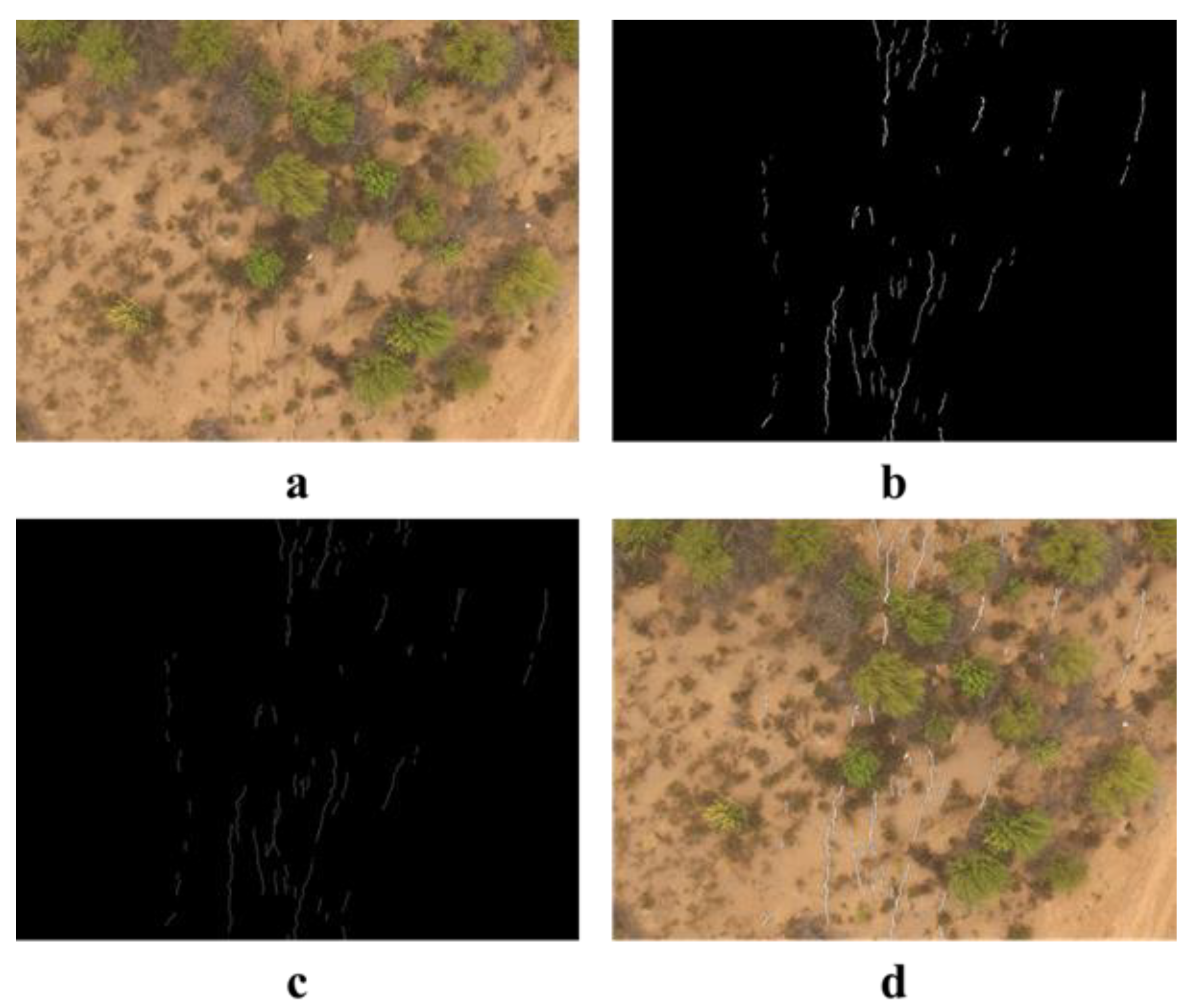 Remotesensing 13 01534 g016