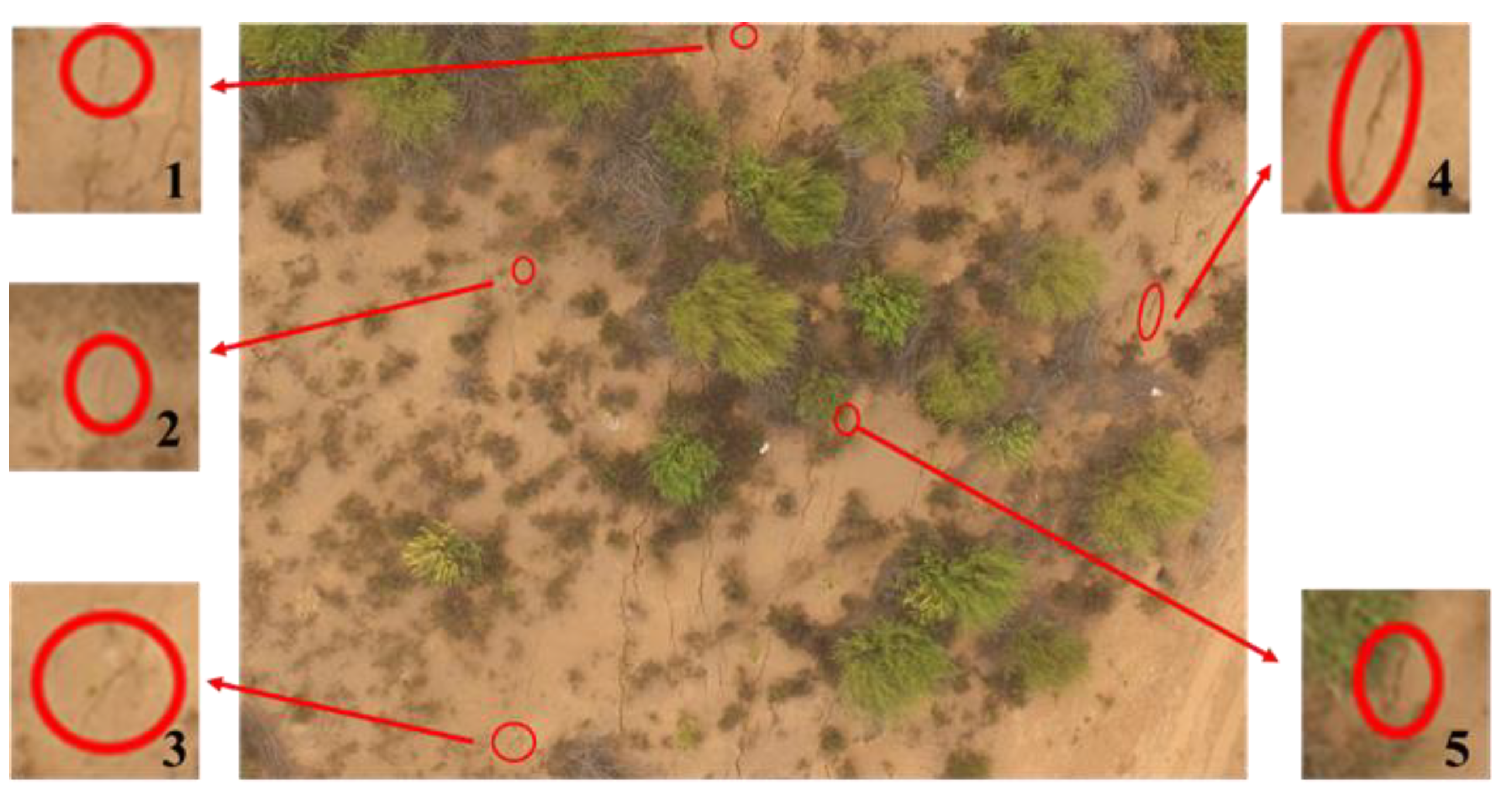 Remotesensing 13 01534 g017