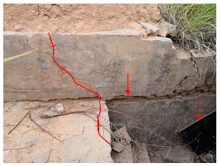 Remotesensing 13 01556 i004