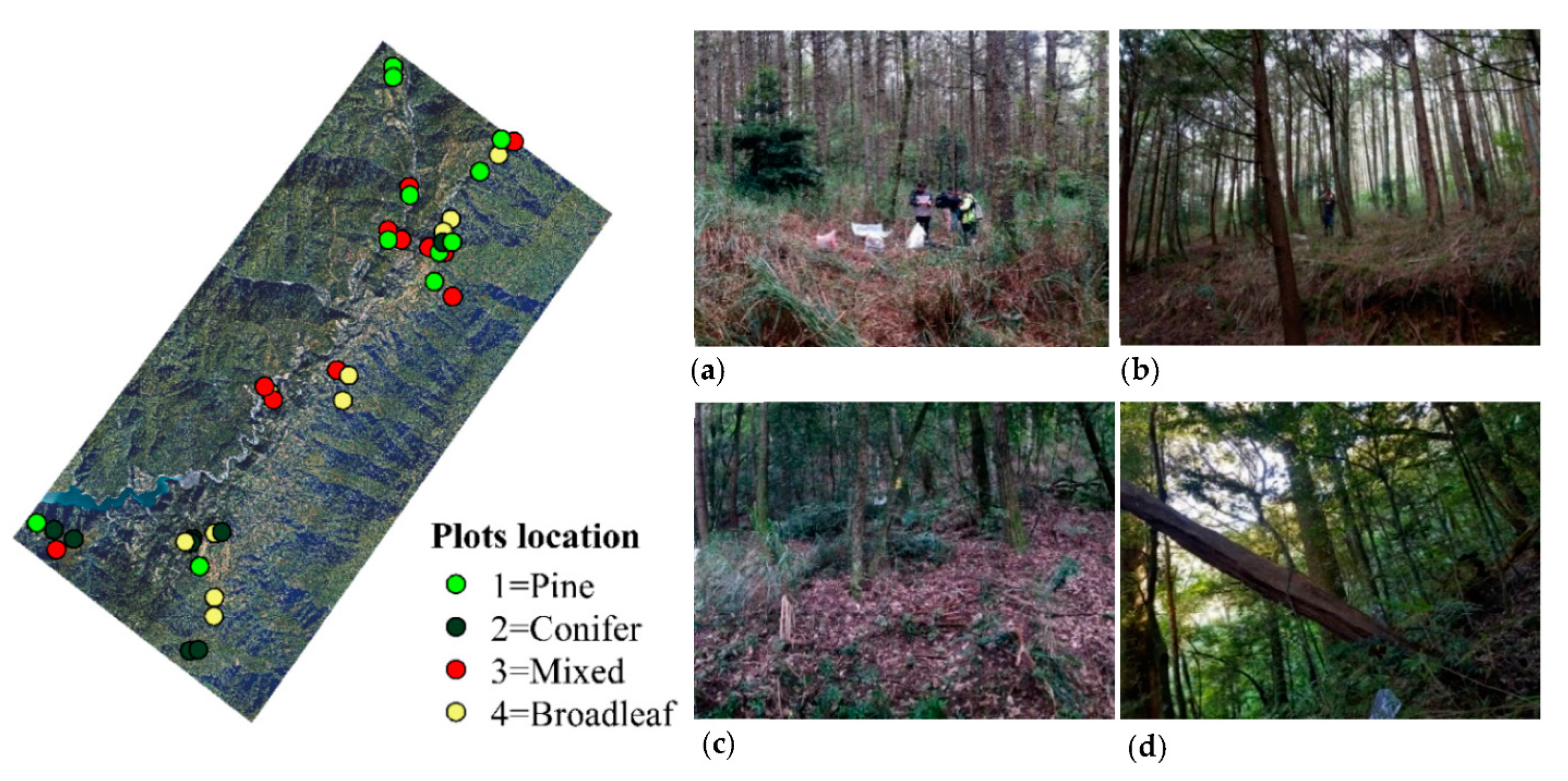 Remotesensing 13 01561 g004