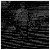 Remotesensing 13 01565 i030