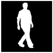 Remotesensing 13 01565 i031