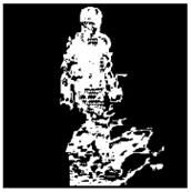 Remotesensing 13 01565 i032