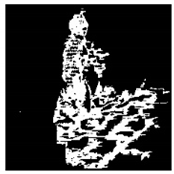 Remotesensing 13 01565 i040