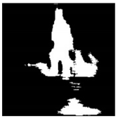 Remotesensing 13 01565 i049