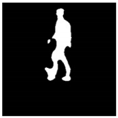 Remotesensing 13 01565 i052