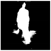 Remotesensing 13 01565 i053