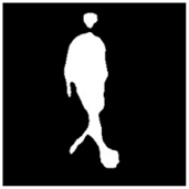 Remotesensing 13 01565 i055