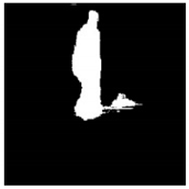 Remotesensing 13 01565 i057