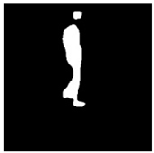 Remotesensing 13 01565 i059