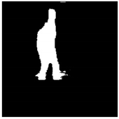 Remotesensing 13 01565 i061