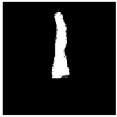 Remotesensing 13 01565 i066