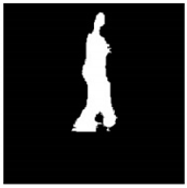 Remotesensing 13 01565 i069