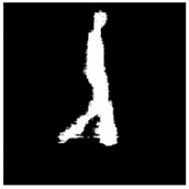 Remotesensing 13 01565 i070