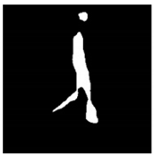 Remotesensing 13 01565 i071