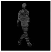 Remotesensing 13 01565 i080