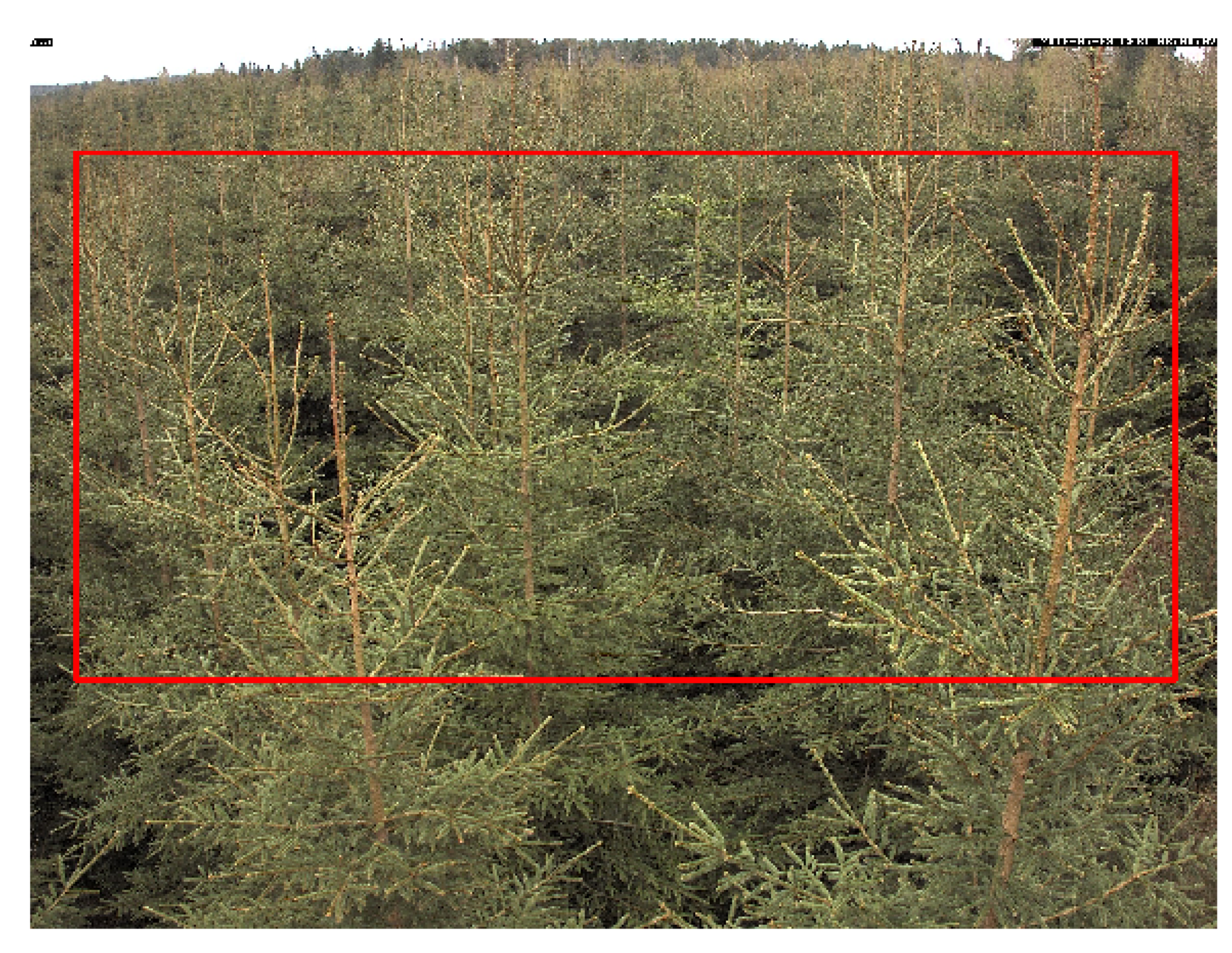 Remotesensing 13 01597 g004