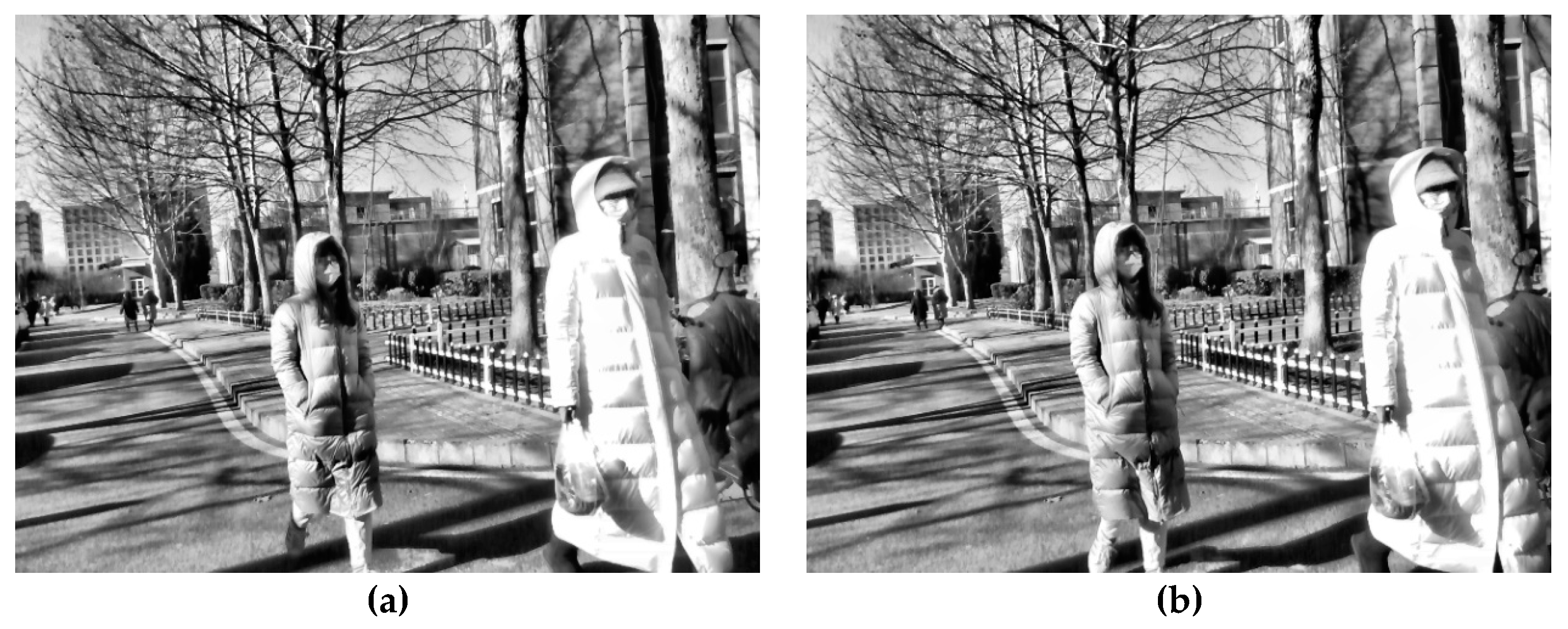 Remotesensing 13 01610 g007