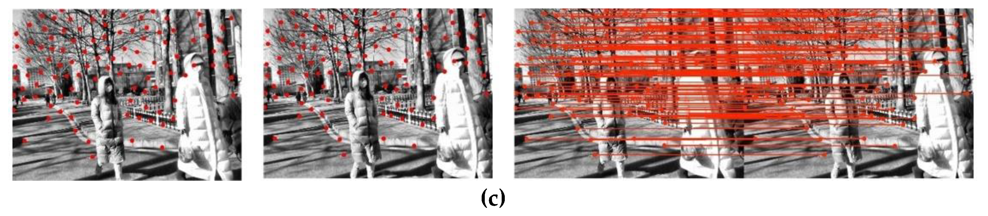 Remotesensing 13 01610 g008b