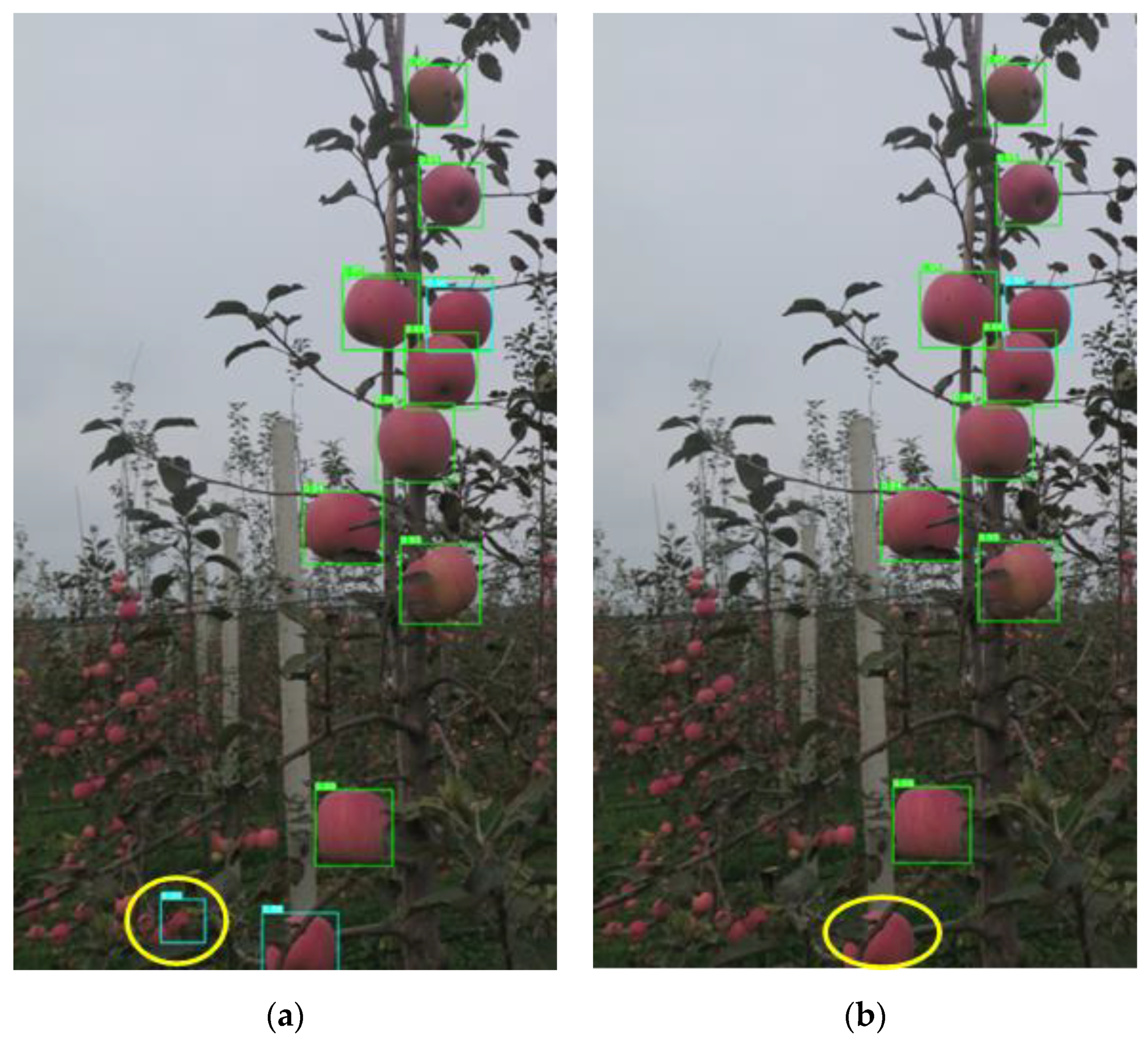 Remotesensing 13 01619 g012