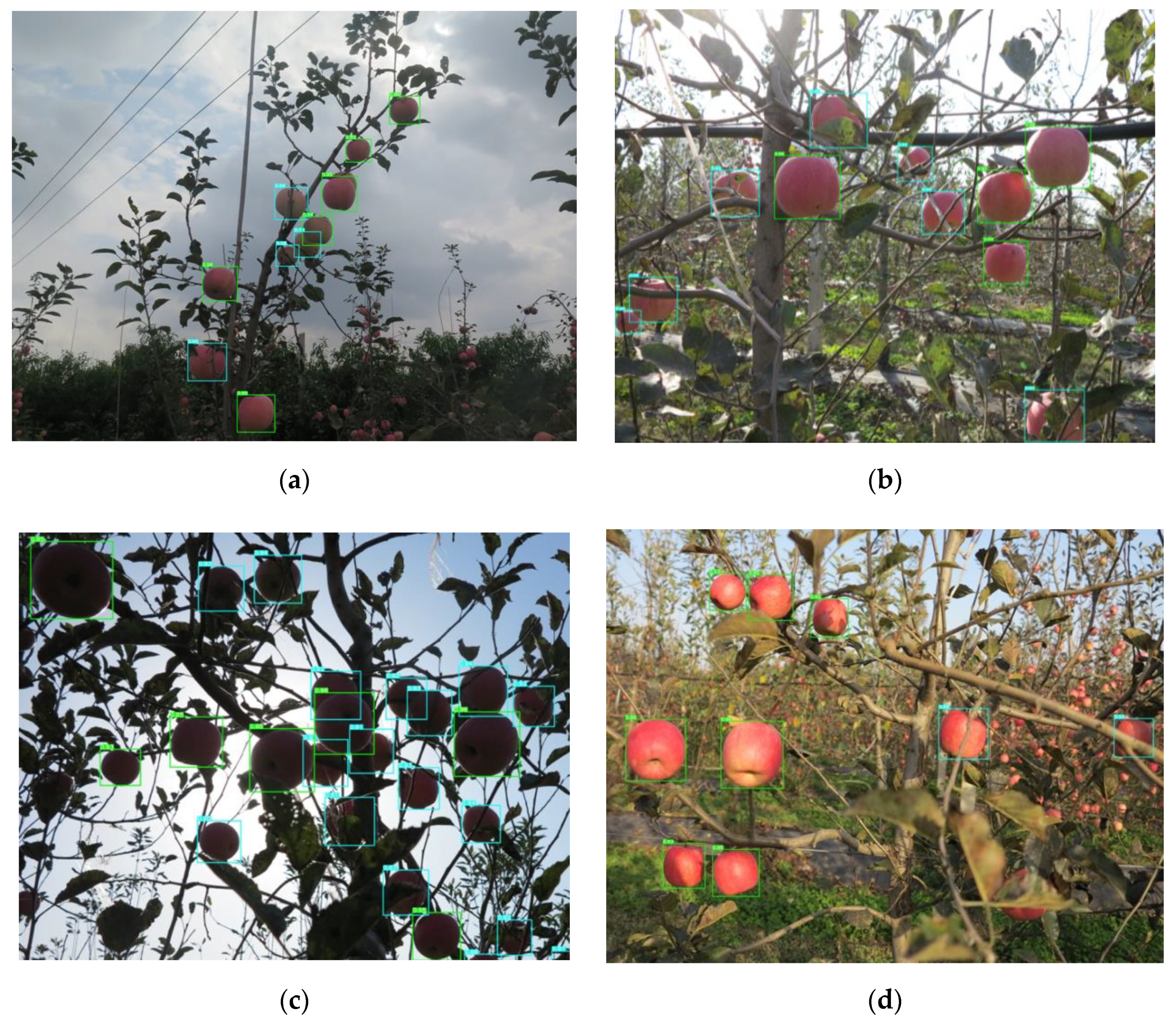 Remotesensing 13 01619 g014