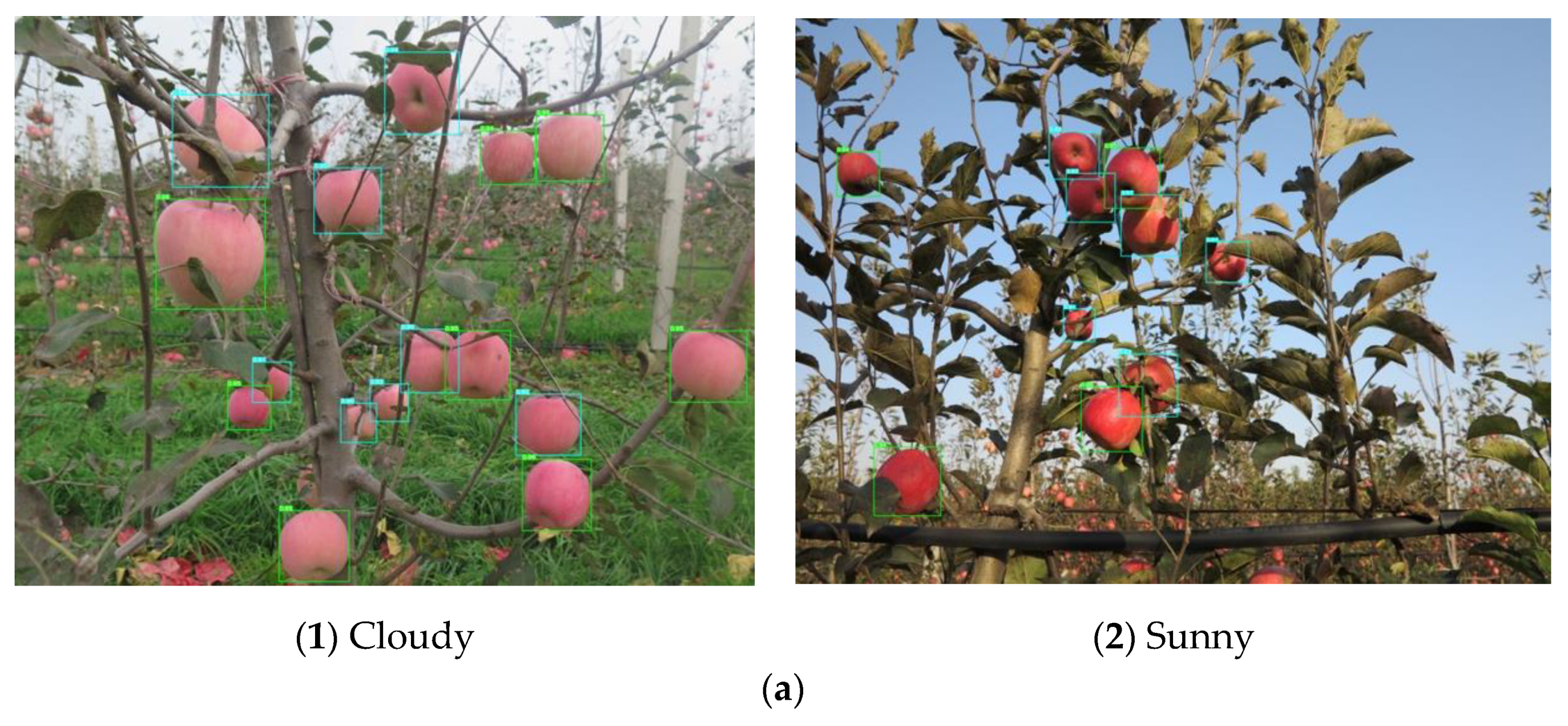 Remotesensing 13 01619 g015a